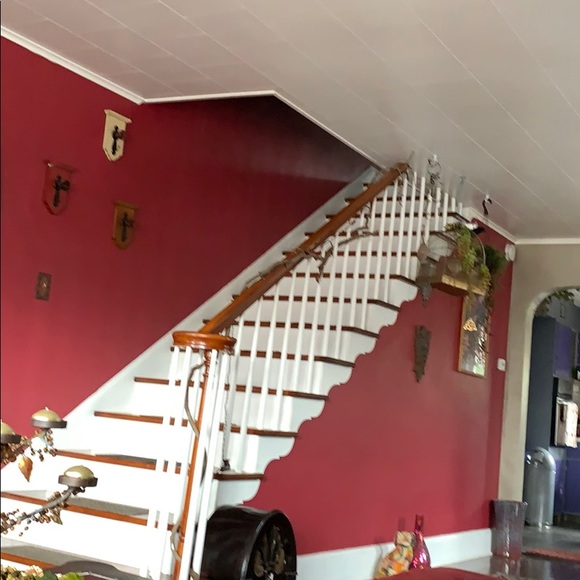 Meet your Posher, Pete - Picture 1 of 1